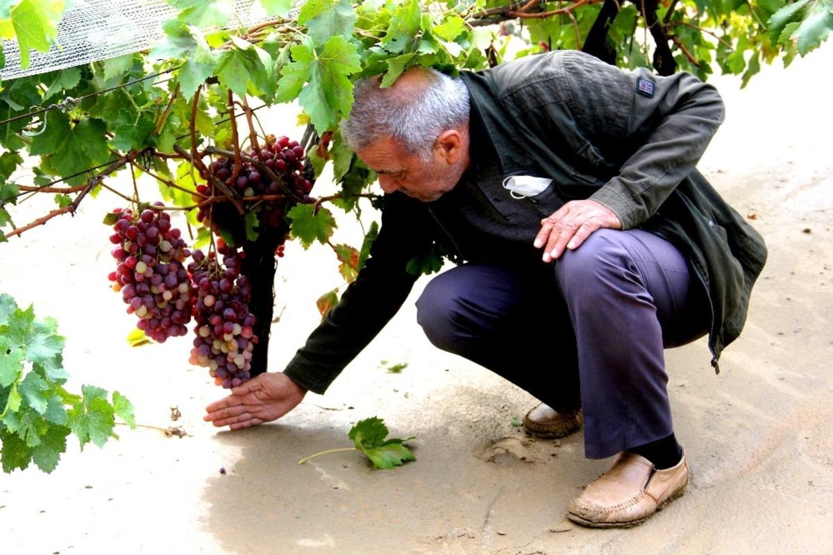 Sarıg&ouml;l&rsquo;de sel zarara yol a&ccedil;tı