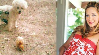 Didem Erol engelli köpeğini kaybetti