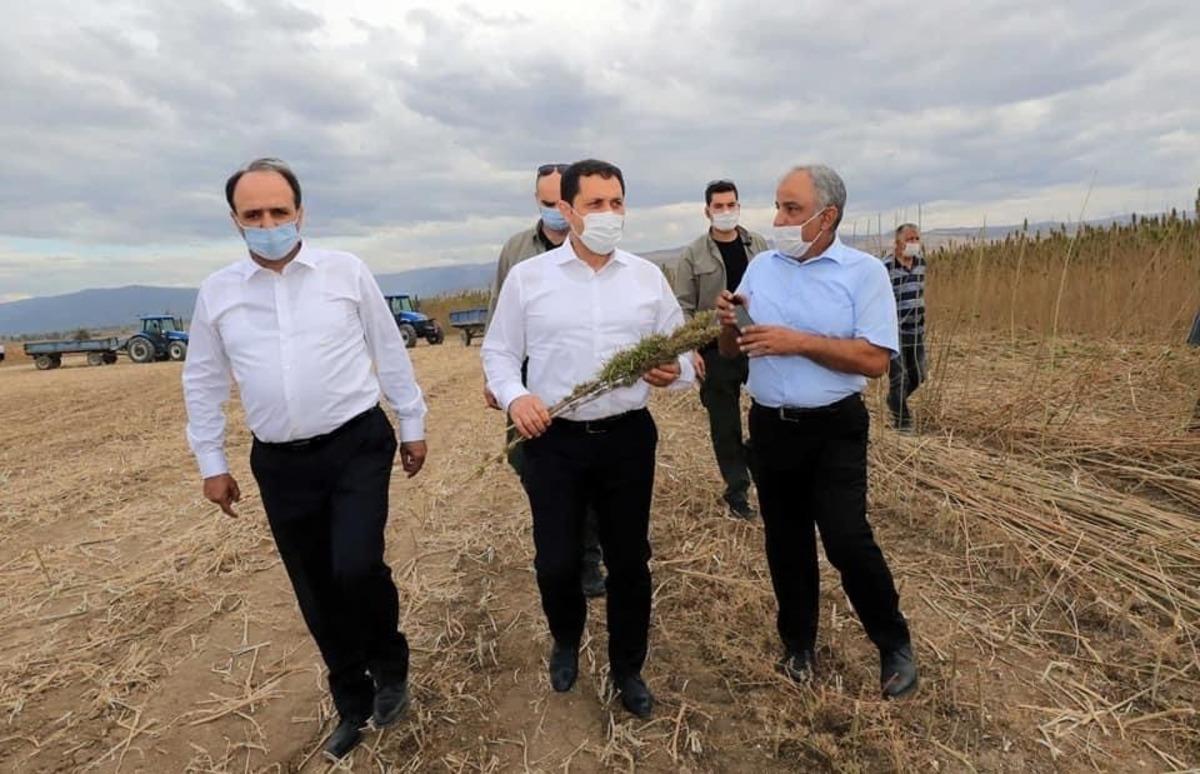 Vali Masatlı, G&ouml;kh&ouml;y&uuml;k Tarım İşletmesinde incelemelerde bulundu