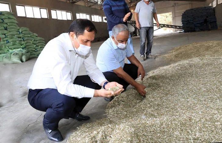 Vali Masatlı, Gökhöyük Tarım İşletmesinde incelemelerde bulundu G3