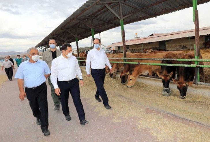 Vali Masatlı, Gökhöyük Tarım İşletmesinde incelemelerde bulundu G5