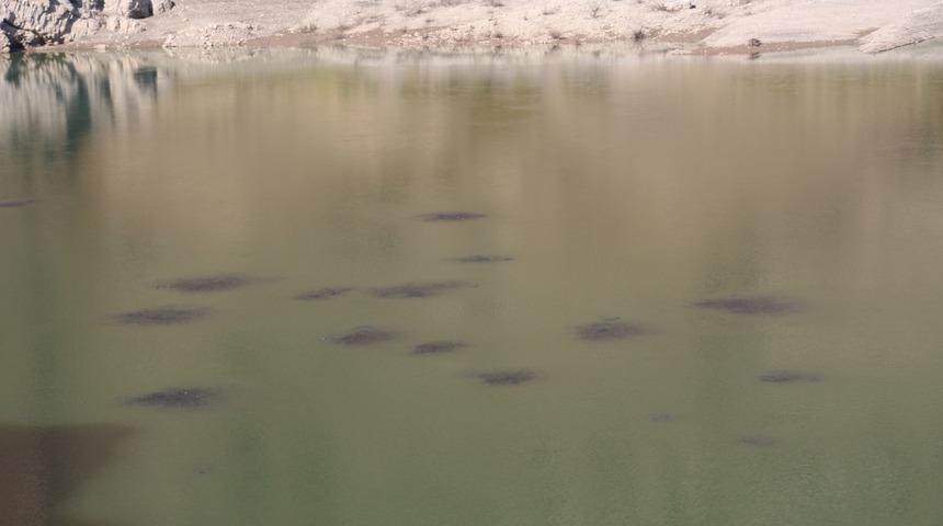 Baraj g&ouml;l&uuml; y&uuml;zeyinde şaşırtan g&ouml;r&uuml;nt&uuml;