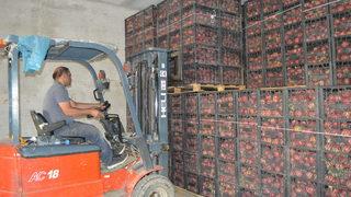 Kariyerini bırakıp, elma üreticisi oldu