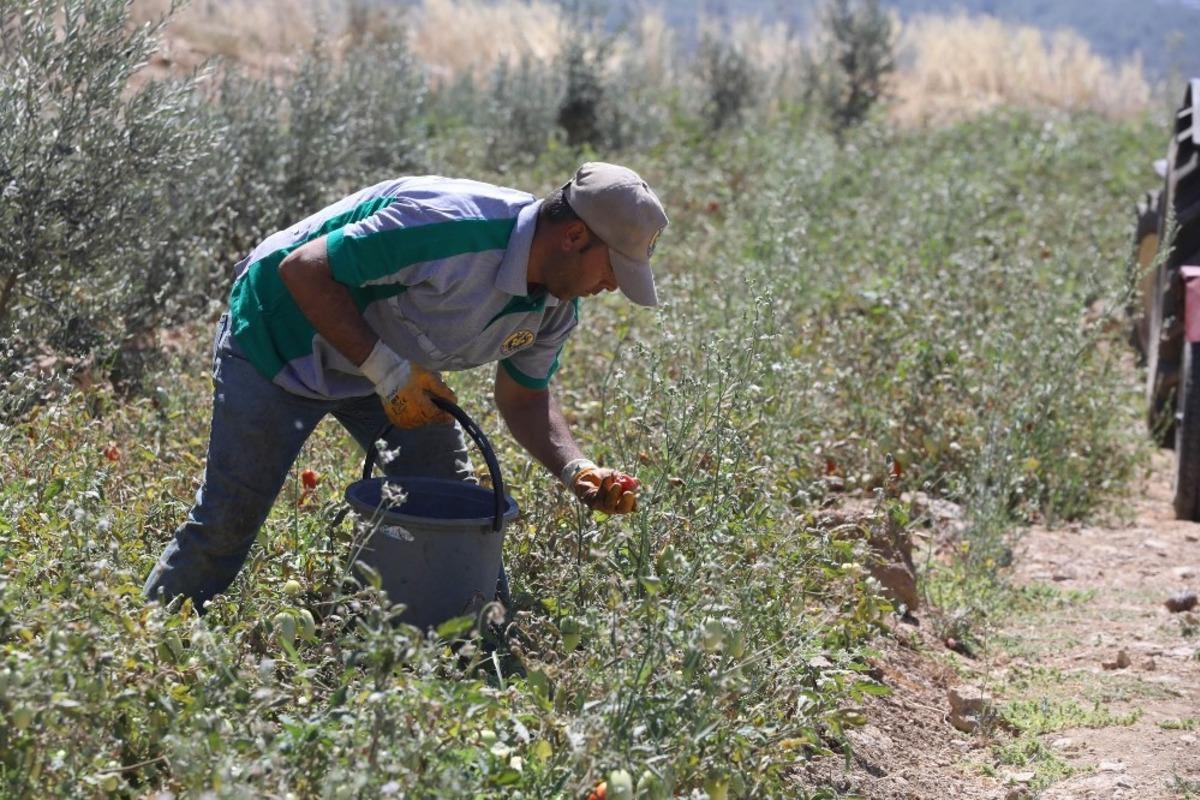 Buca&rsquo;nın &uuml;r&uuml;nleri bin 458 mutfağa bereket oldu