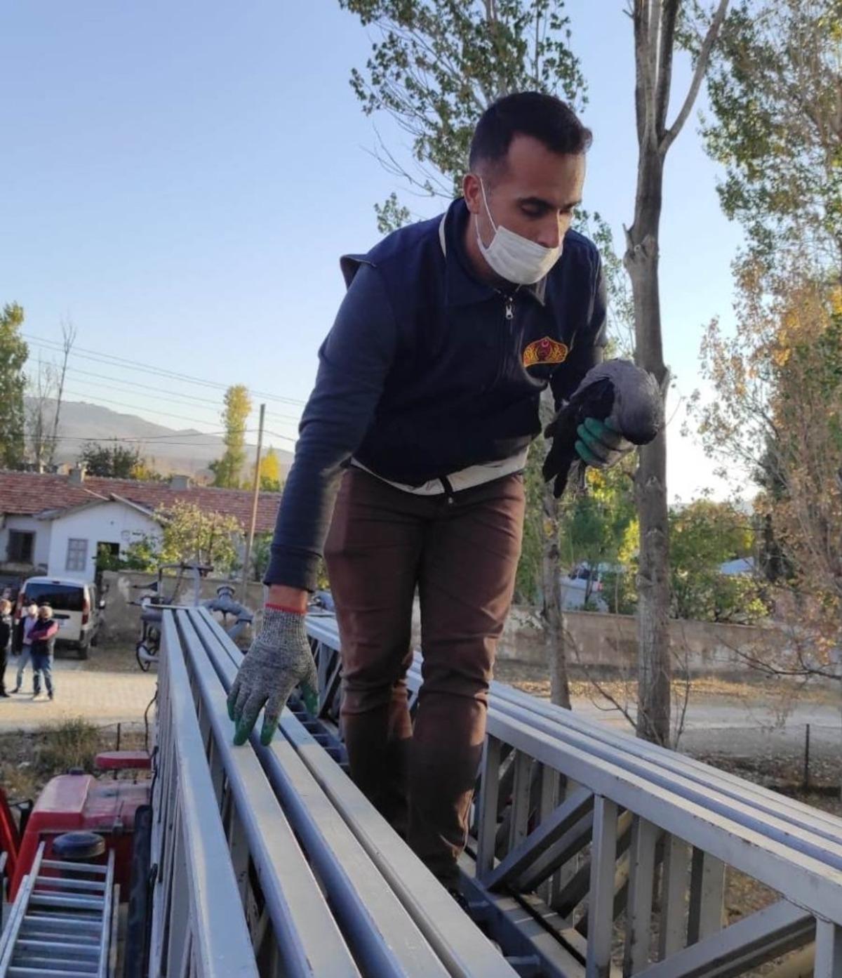 Ağa&ccedil;ta mahsur kalan g&uuml;vercin itfaiye tarafından kurtarıldı