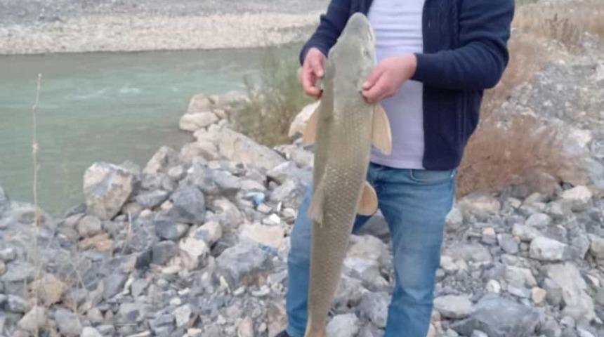 &Ccedil;ukurca&rsquo;da yakalanan alabalık g&ouml;renleri şaşırttı