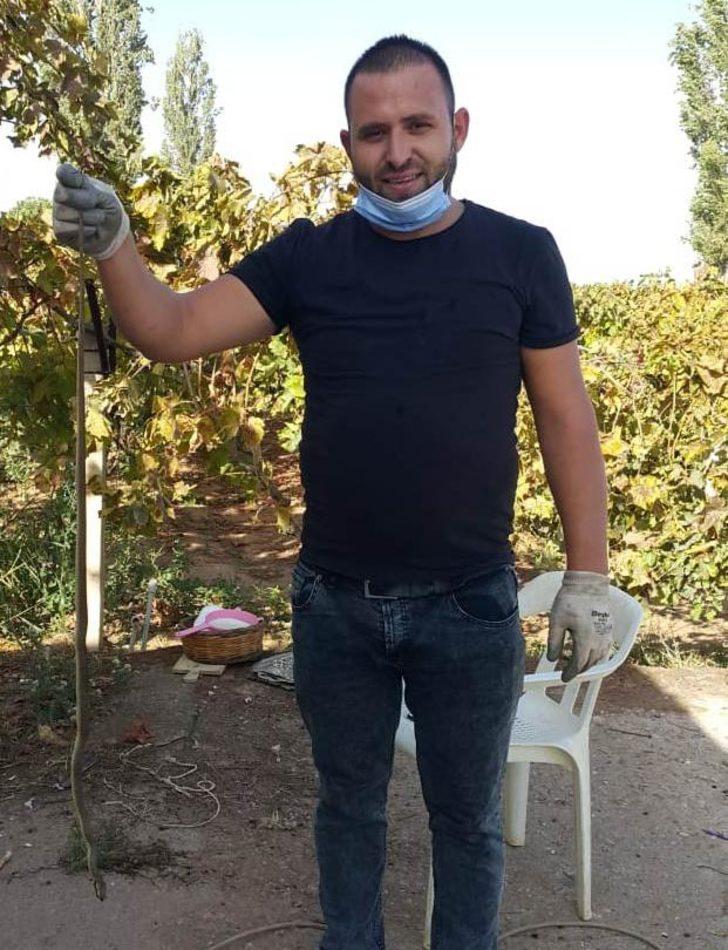 Evinden çıkan 1,5 metrelik yılanı, kürekle öldürdü G2