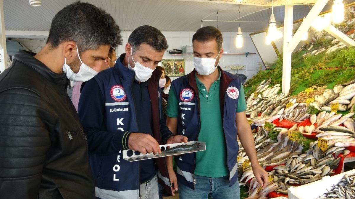 Van&rsquo;daki balık&ccedil;ılar sıkı denetimden ge&ccedil;ti