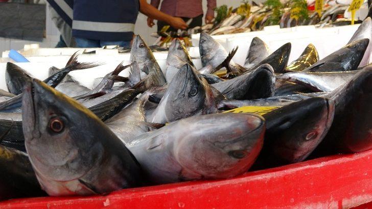 Van’daki balıkçılar sıkı denetimden geçti G4