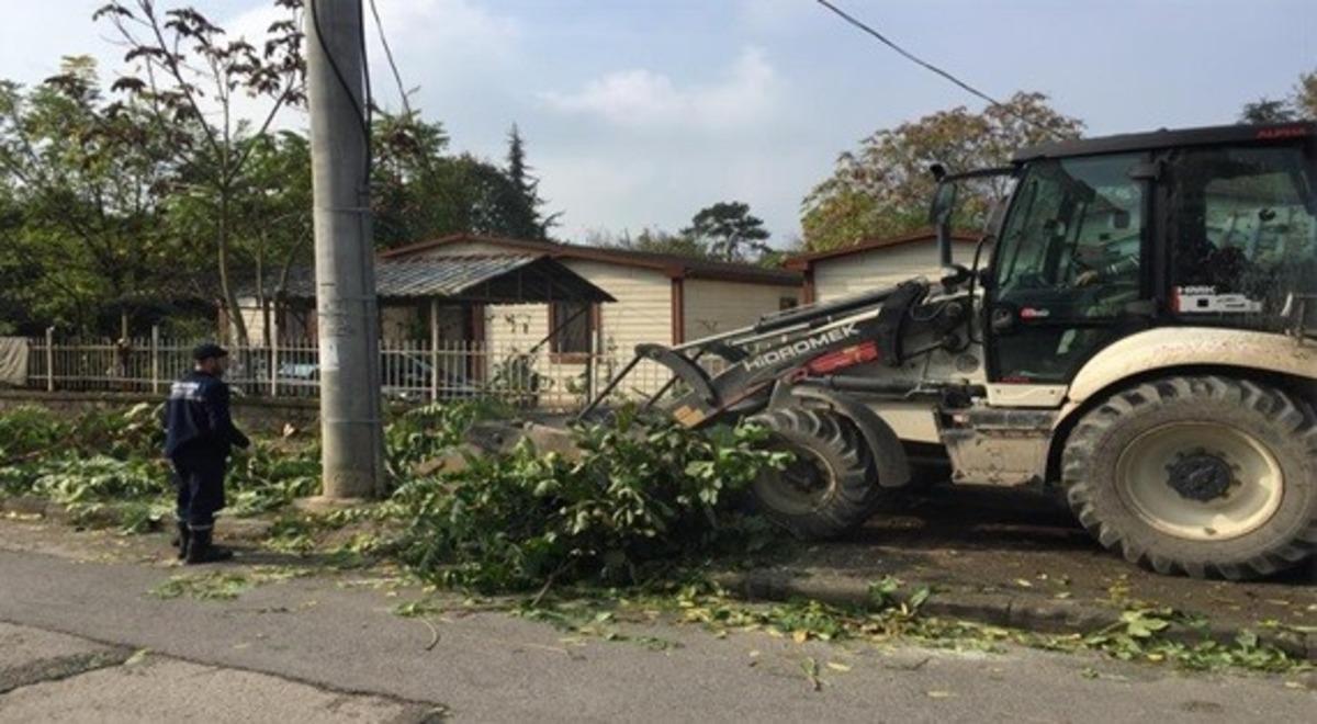 D&uuml;zce Belediyesi moloz atıkları toplanıyor