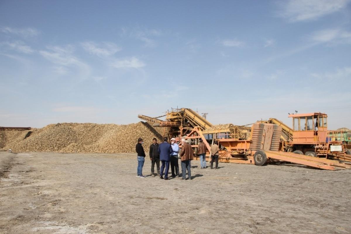 Malazgirt&rsquo;te pancar alımı devam ediyor