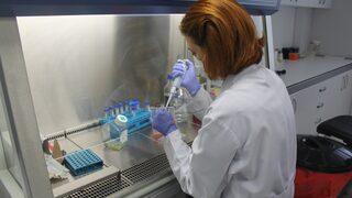 Kısırlık tedavisinde kök hücre heyecanı!