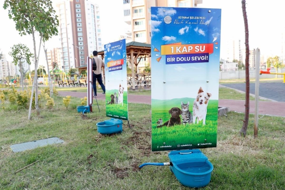 Sokak hayvanlarına yeni suluk
