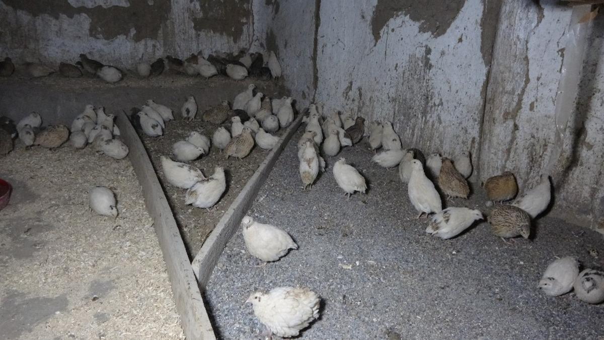 (&Ouml;zel) Premat&uuml;re kardeşi i&ccedil;in başladı, şimdi ticaretini yapıyor