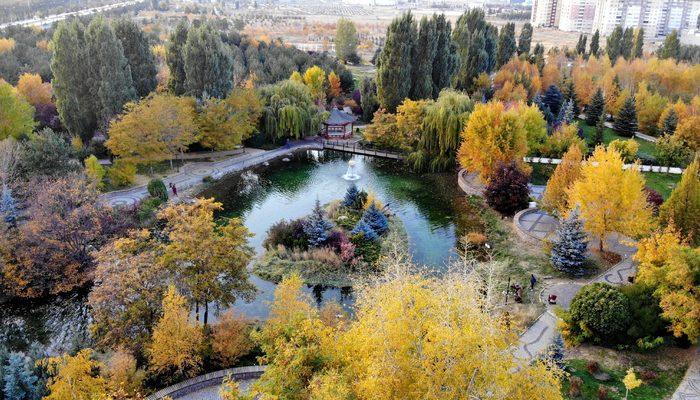 Sonbaharla renklendi! Gören hayran kalıyor