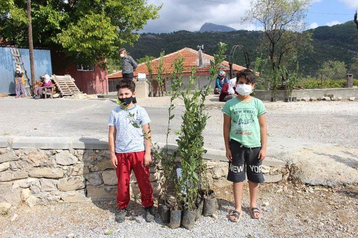 Büyükşehir, Manavgat’ta defne fidanı yardımı yaptı G1