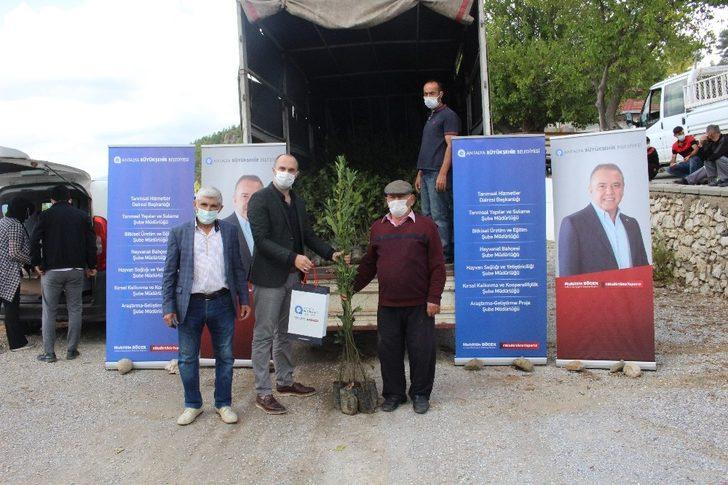 Büyükşehir, Manavgat’ta defne fidanı yardımı yaptı G2