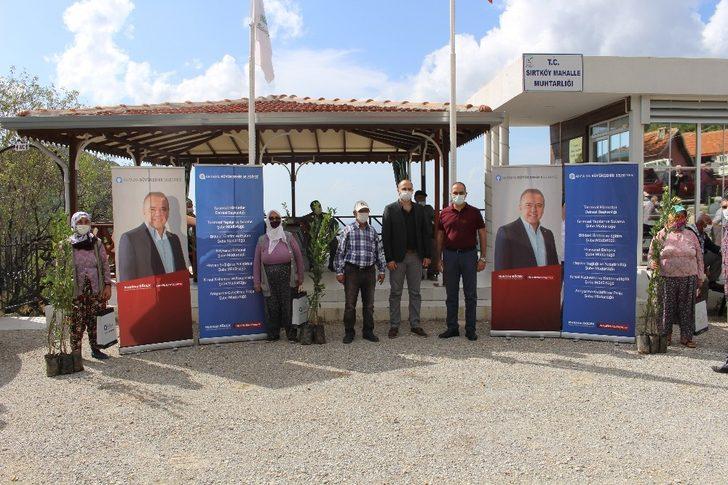 Büyükşehir, Manavgat’ta defne fidanı yardımı yaptı G5