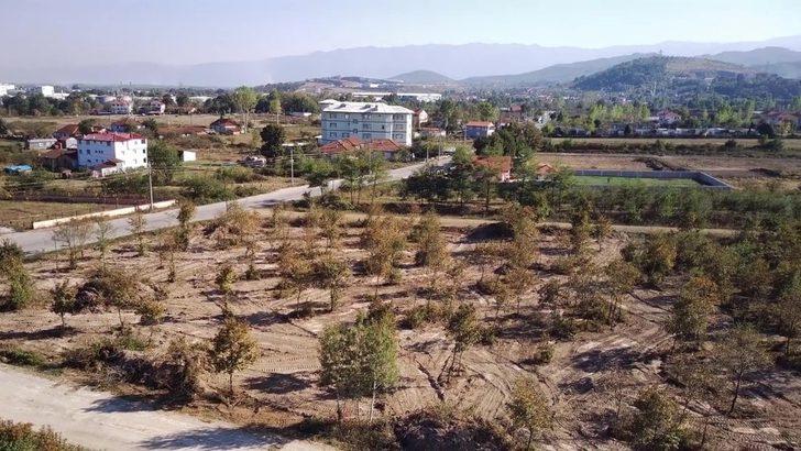 Cumayeri Belediyesi Millet Bahçesi çalışmalarına başladı G3