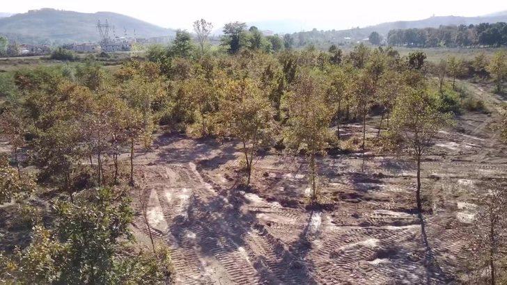 Cumayeri Belediyesi Millet Bahçesi çalışmalarına başladı G4