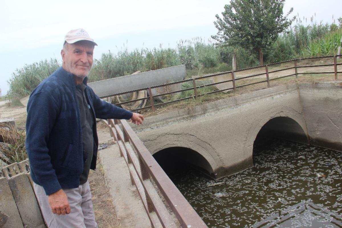 Barajlardan gelen su kesilince balıklar telef oldu
