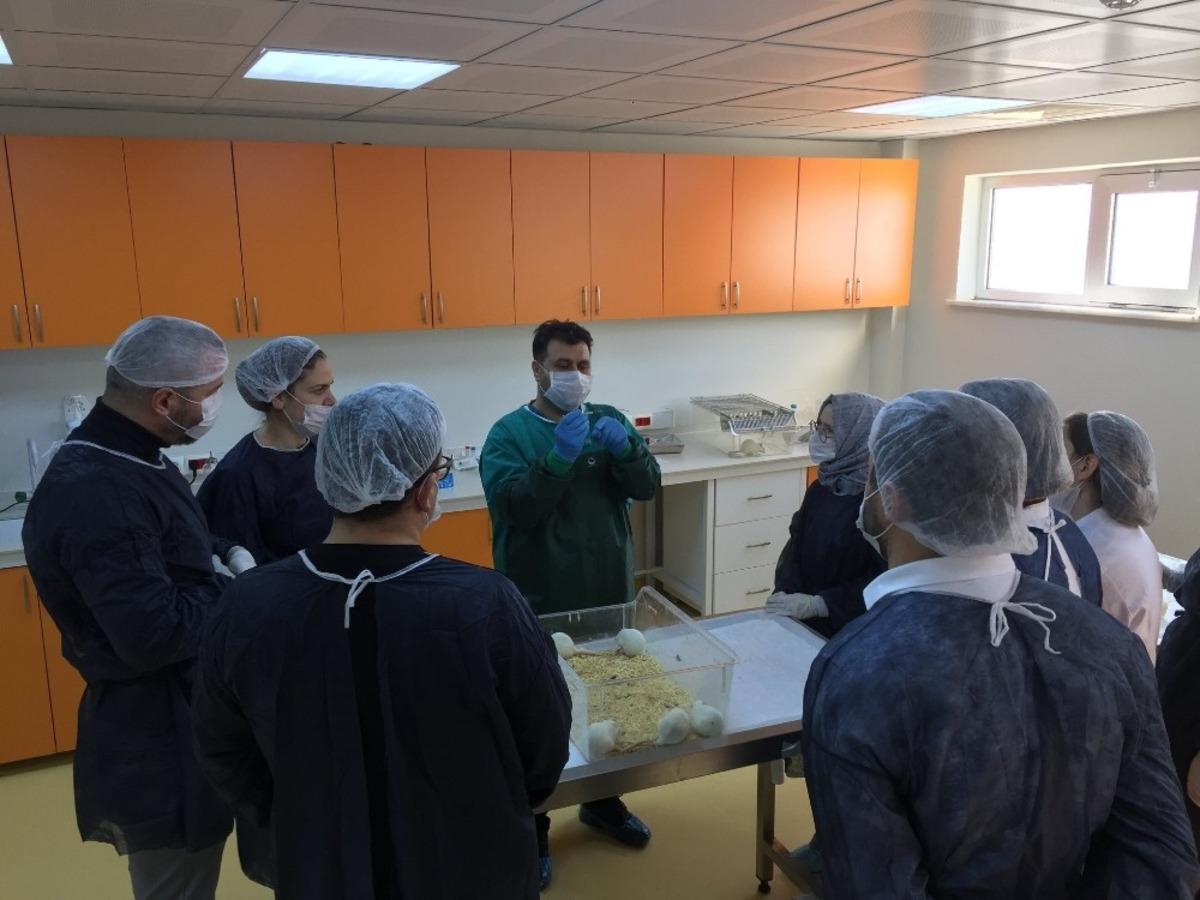 BA&Uuml;N-DEHAM, Bilimsel &Uuml;retkenlik Yarışında Akademisyenlerin Yanında