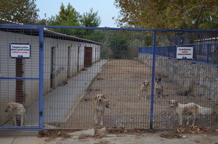 Kuşadası Hayvan Rehabilitasyon Merkezi’nde 18 ayda 3115 hayvan misafir edildi G3