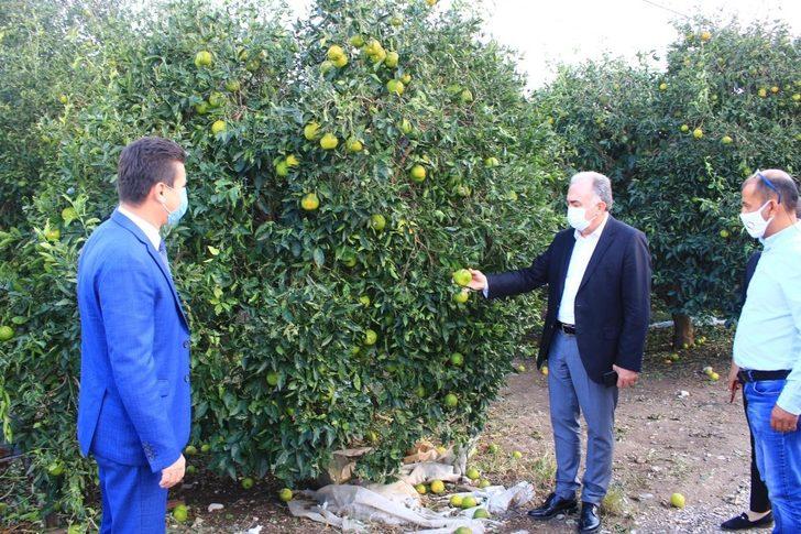 Başkanvekili Hacıarifoğlu Kumluca’da incelemelerde bulundu G4