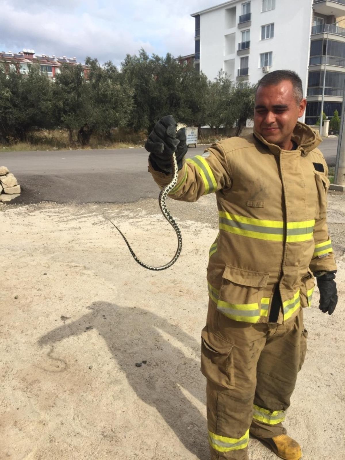 Eve giren yılan itfaiye ekiplerince &ccedil;ıkarıldı