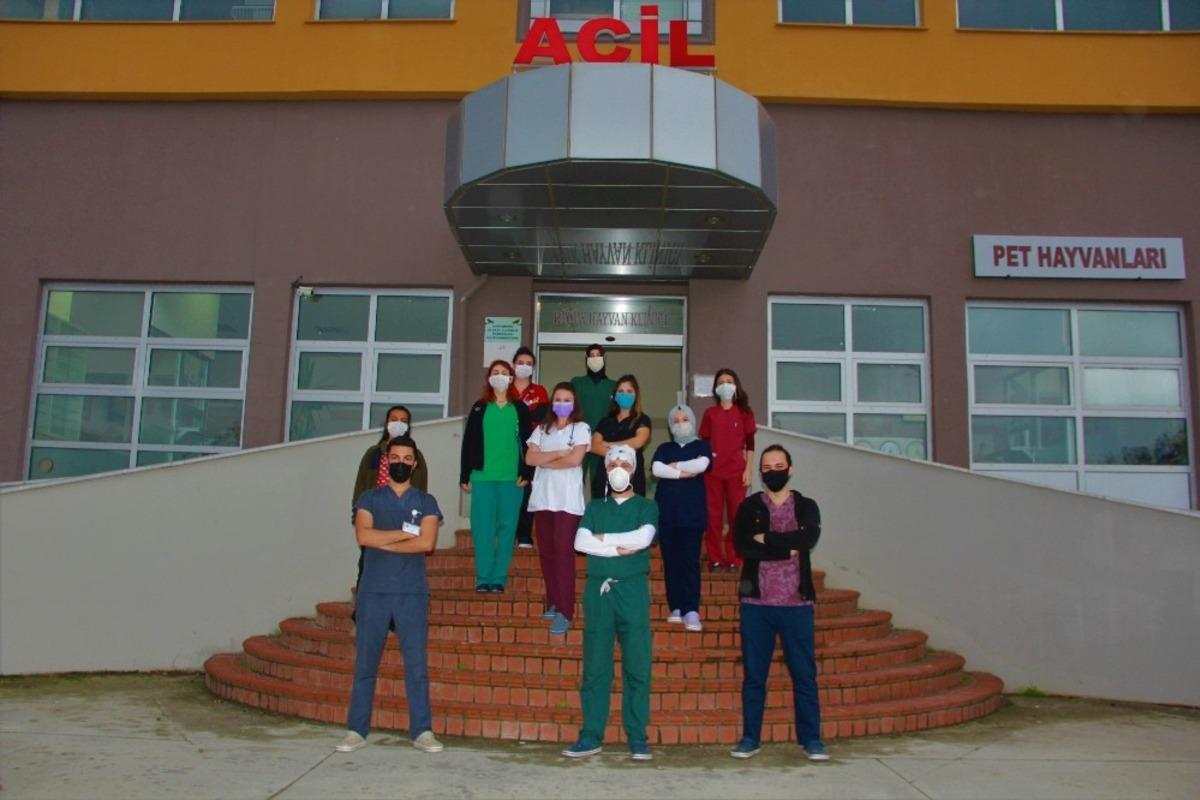 Veteriner hekimler y&uuml;z y&uuml;ze eğitime devam ediyor
