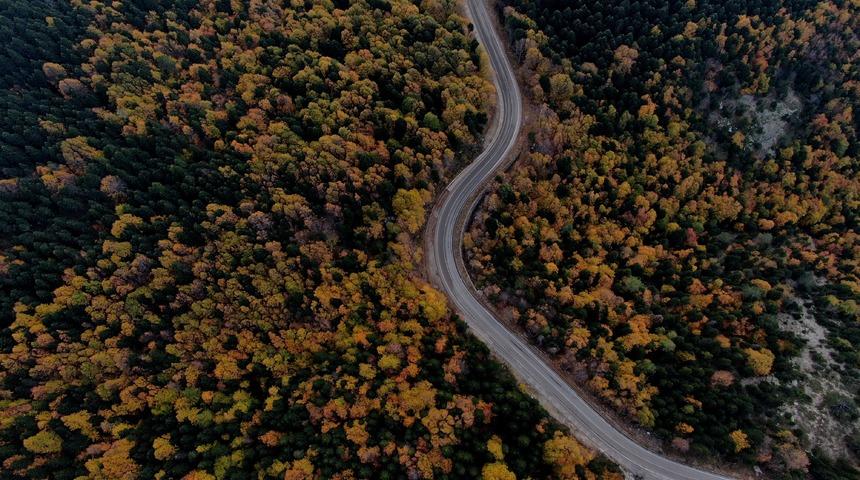 Hazan mevsimi başladı! G&ouml;ren hayran kalıyor