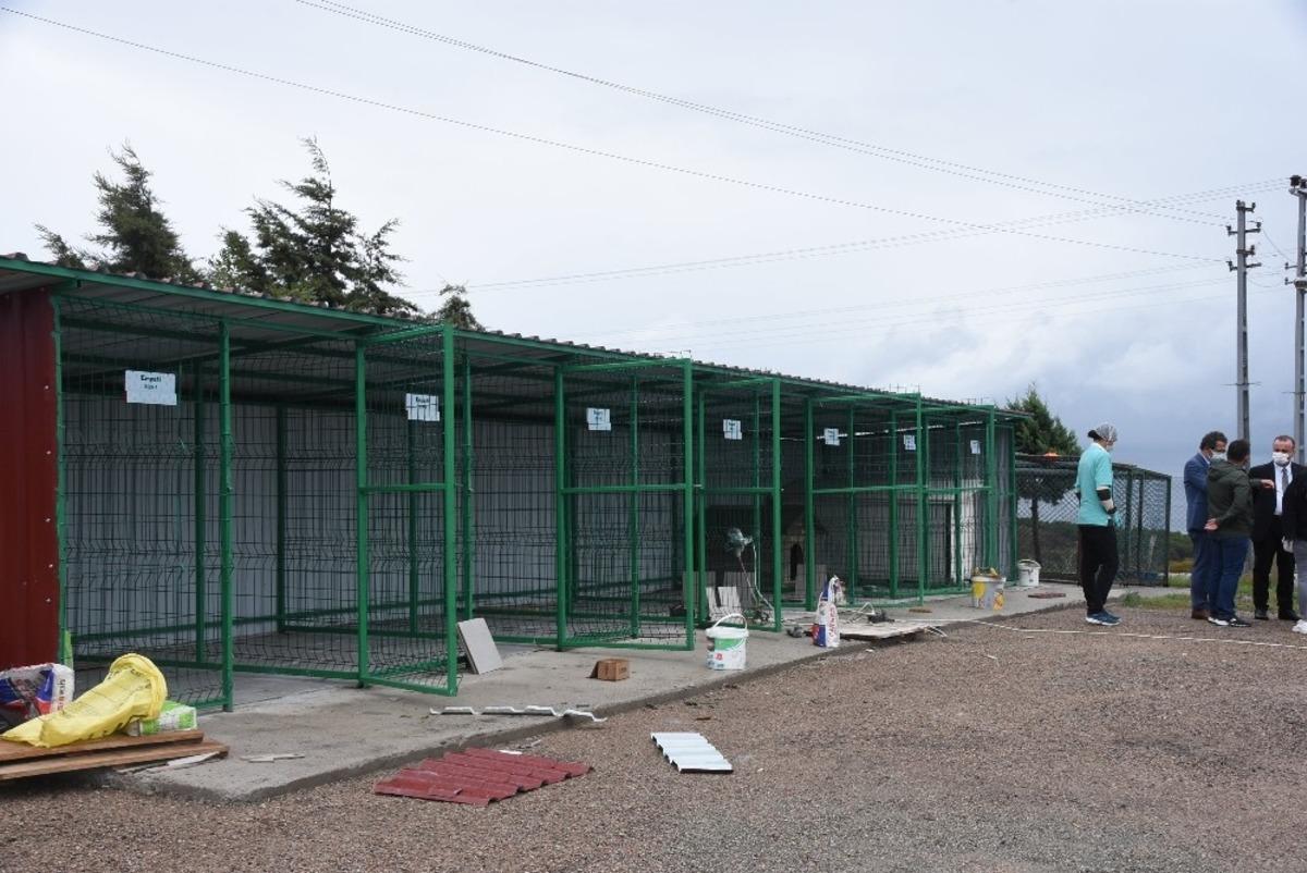 Sinop&rsquo;ta can dostlar i&ccedil;in &ldquo;Empati Projesi&rdquo;