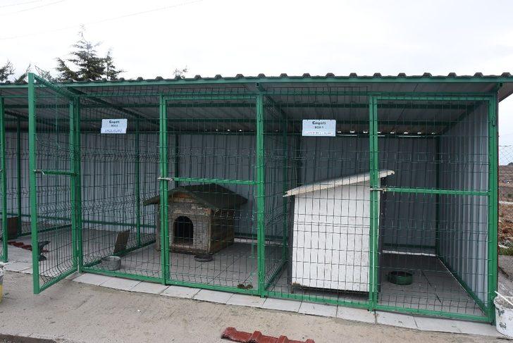 Sinop’ta can dostlar için “Empati Projesi” G3