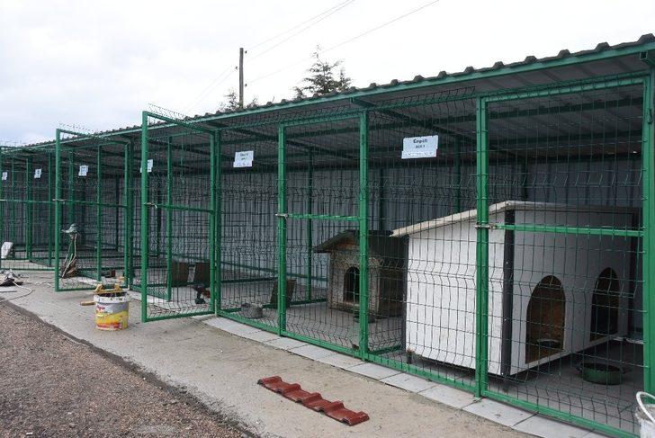 Sinop’ta can dostlar için “Empati Projesi” G4