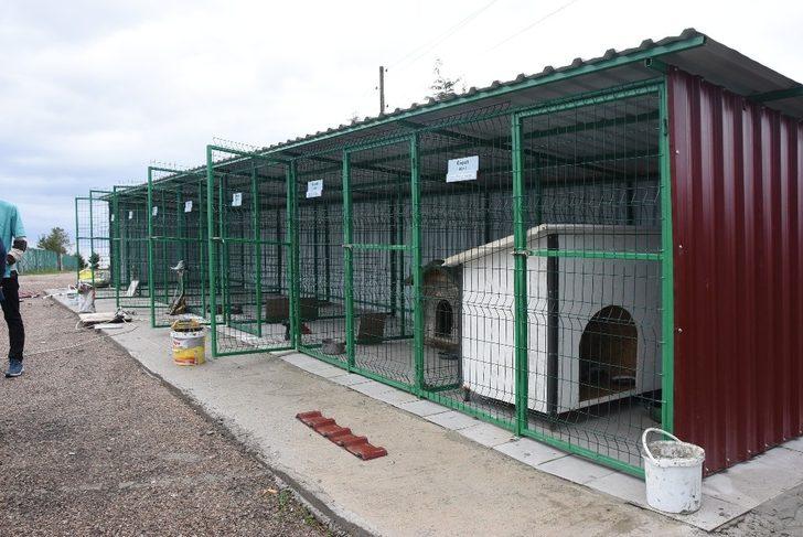 Sinop’ta can dostlar için “Empati Projesi” G5