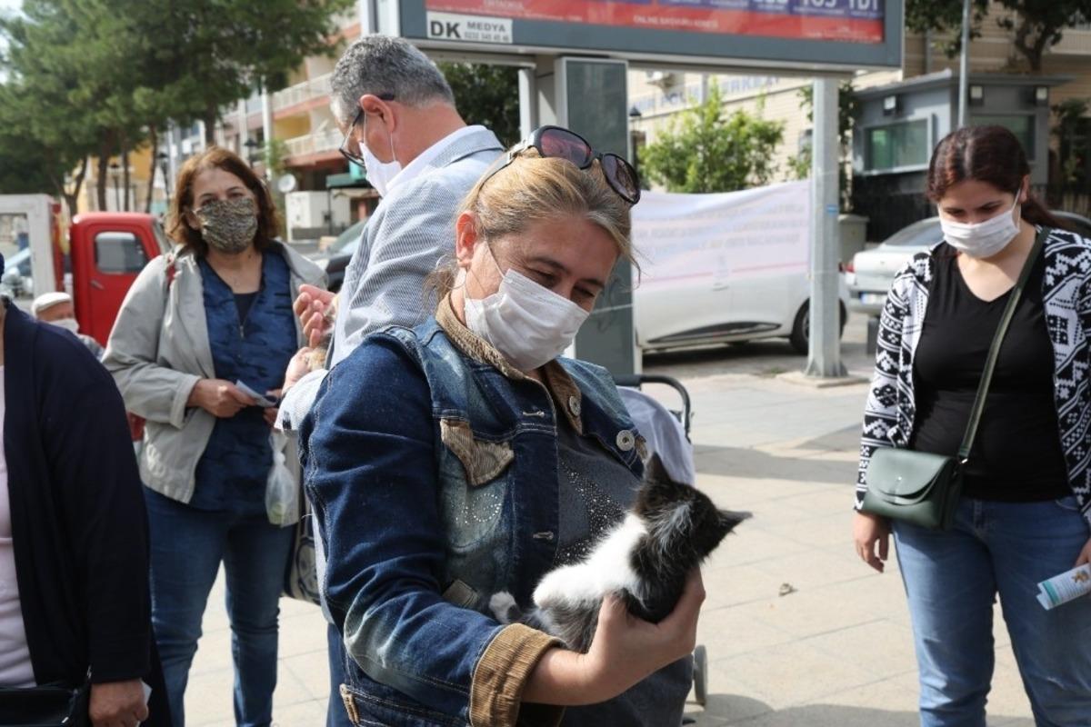Gaziemir&rsquo;de sokak hayvanları yeni yuvalarına kavuştu