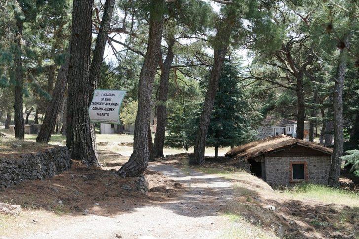 İzmir’in sinema envanteri çıkarıldı G2