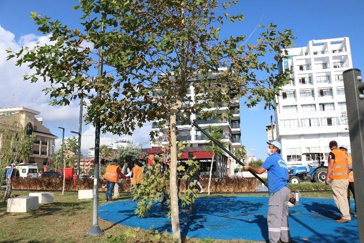 Konyaaltı Sahili’nde ağaçlara fırtına bakımı G2