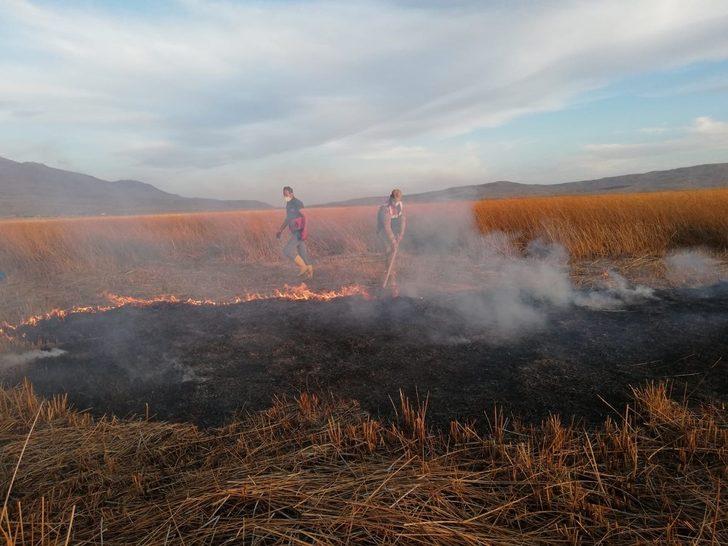 Kuş cenneti Cil Gölü’nde 10 dekarlık alan küle döndü G1