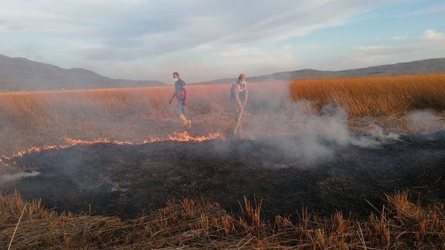 Kuş cenneti Cil Gölü’nde 10 dekarlık alan küle döndü