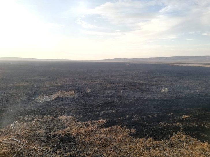 Kuş cenneti Cil Gölü’nde 10 dekarlık alan küle döndü G2