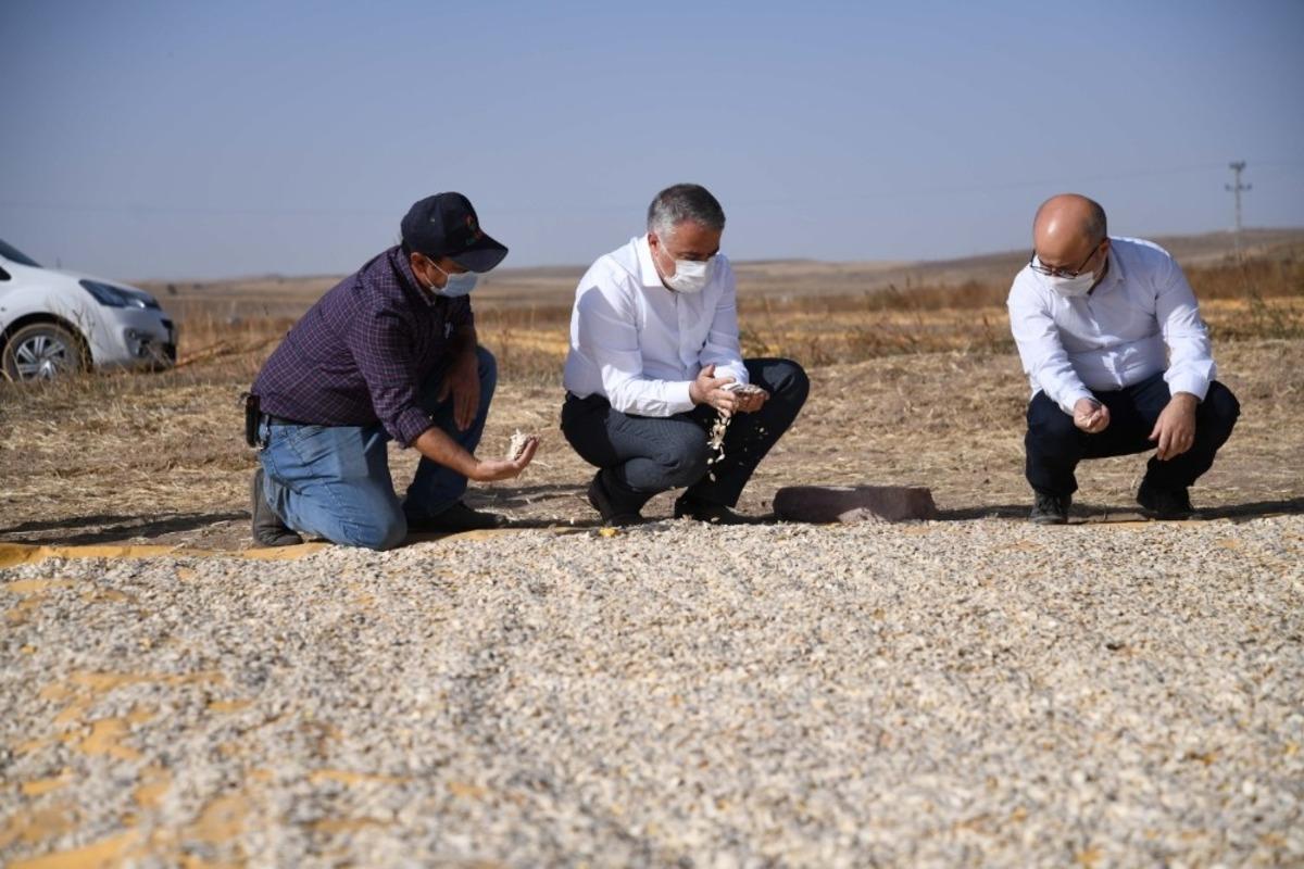 Şahin, "Kırsal alandaki gelişme &uuml;lkenin kalkınmasında etkili olacak"
