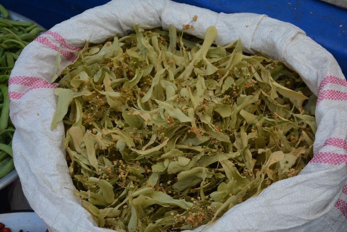 Ihlamura talep arttı, kilosu 130 lira