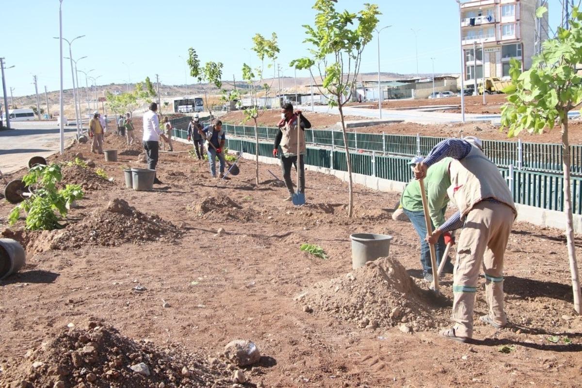 Haliliye&rsquo;de temizlik &ccedil;alışmaları devam ediyor