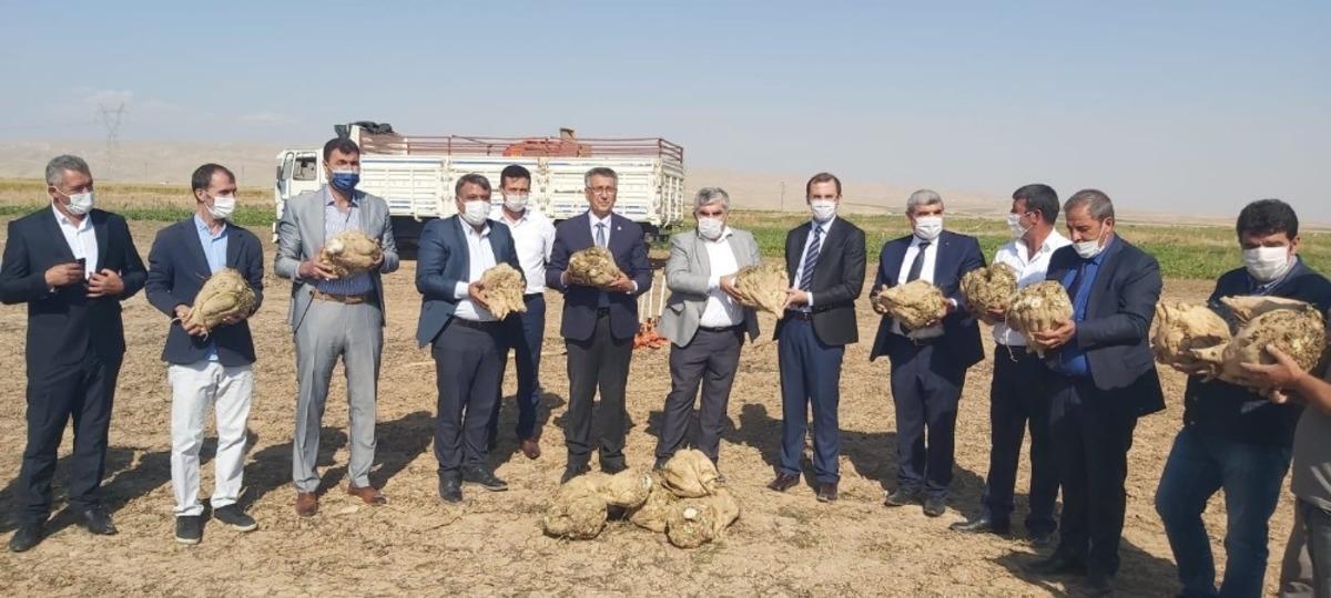 Yazıhan&rsquo;da pancarın kalitesine tam not