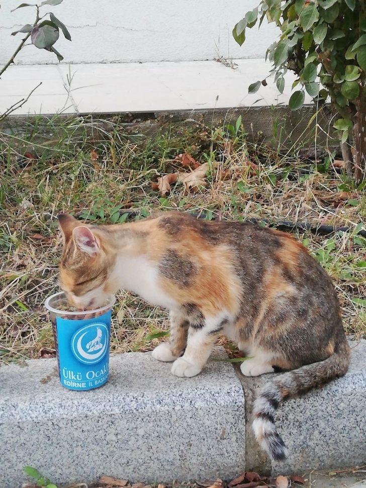 Sokak hayvanlarını unutmadılar G2