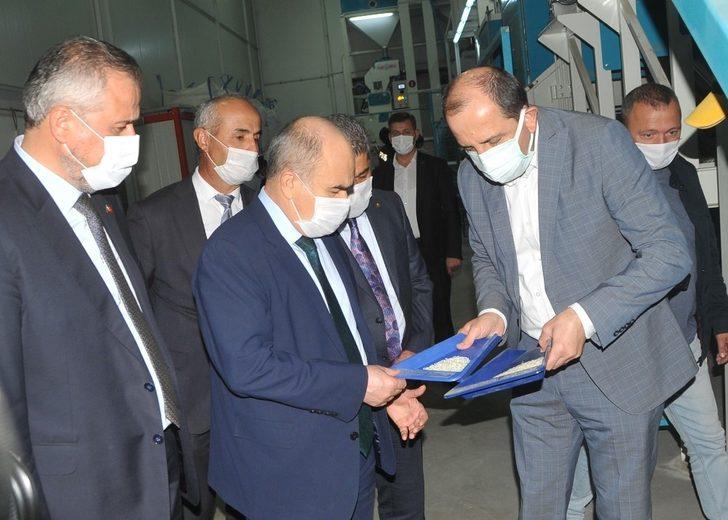 Vali Dağlı: ”Bafra tam bir tarım ilçesi" G2