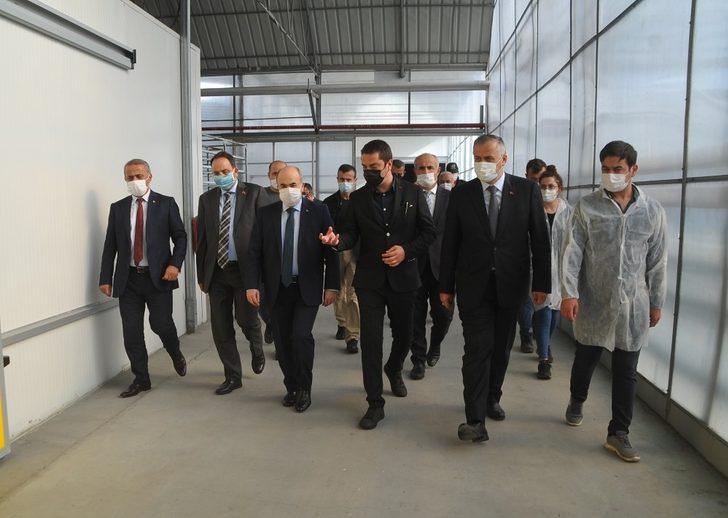 Vali Dağlı: ”Bafra tam bir tarım ilçesi" G5