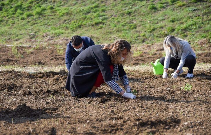Tıbbi ve aromatik bitkiler toprakla buluştu G2