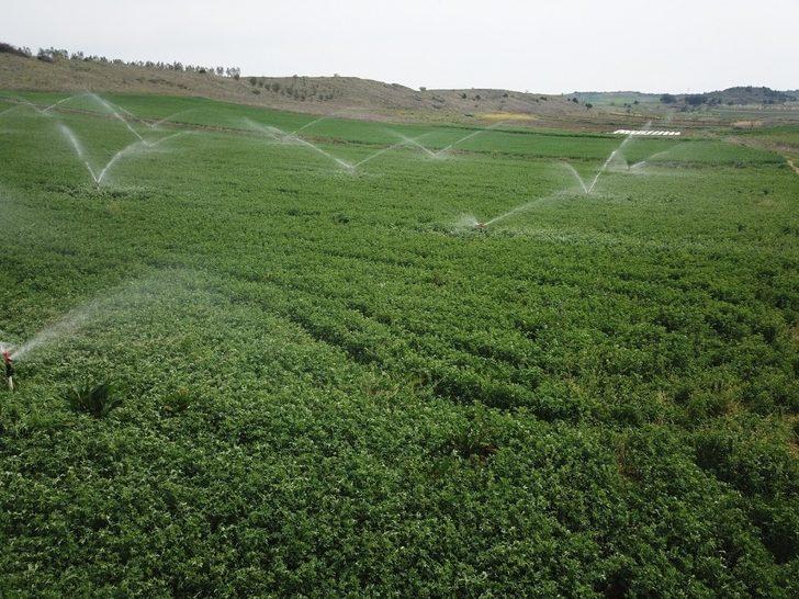Aydın’da sulama sezonu sona erdi G4